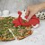 Balvi 24617 coltello taglia PIZZA SLICER scooter in ABS marchio Balvi Acquista online Balvi 24617 coltello taglia PIZZA SLICER scooter in ABS Balvi