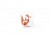 Bicchiere acqua vetro decorato fantasia FLORA ET FAUNA set 6 pezzi marchio Excelsa Acquista online Bicchiere acqua vetro decorato fantasia FLORA ET FAUNA set 6 pezzi Excelsa