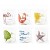 Bicchiere acqua vetro decorato fantasia FLORA ET FAUNA set 6 pezzi marchio Excelsa Acquista online Bicchiere acqua vetro decorato fantasia FLORA ET FAUNA set 6 pezzi Excelsa